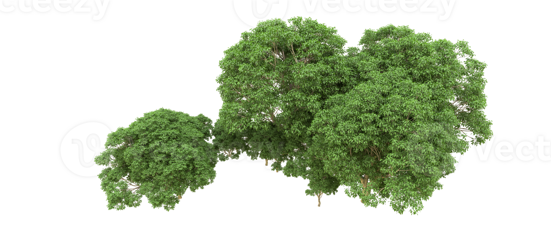 Green forest isolated on background. 3d rendering - illustration png
