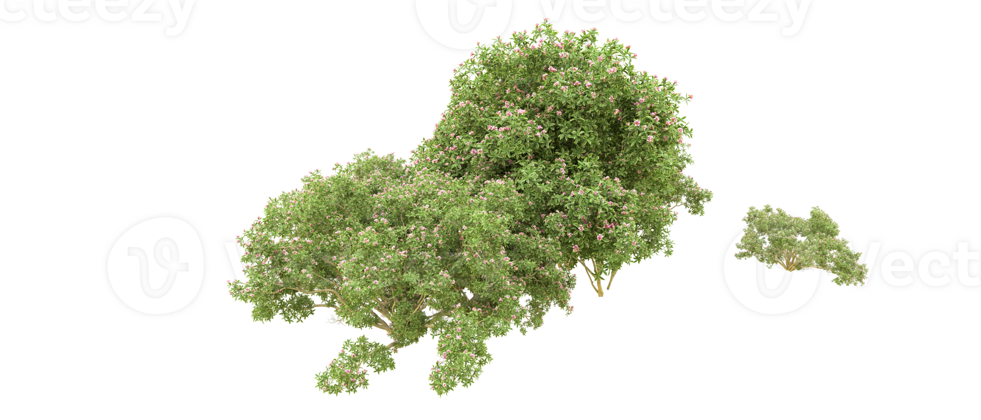 Green forest isolated on background. 3d rendering - illustration png