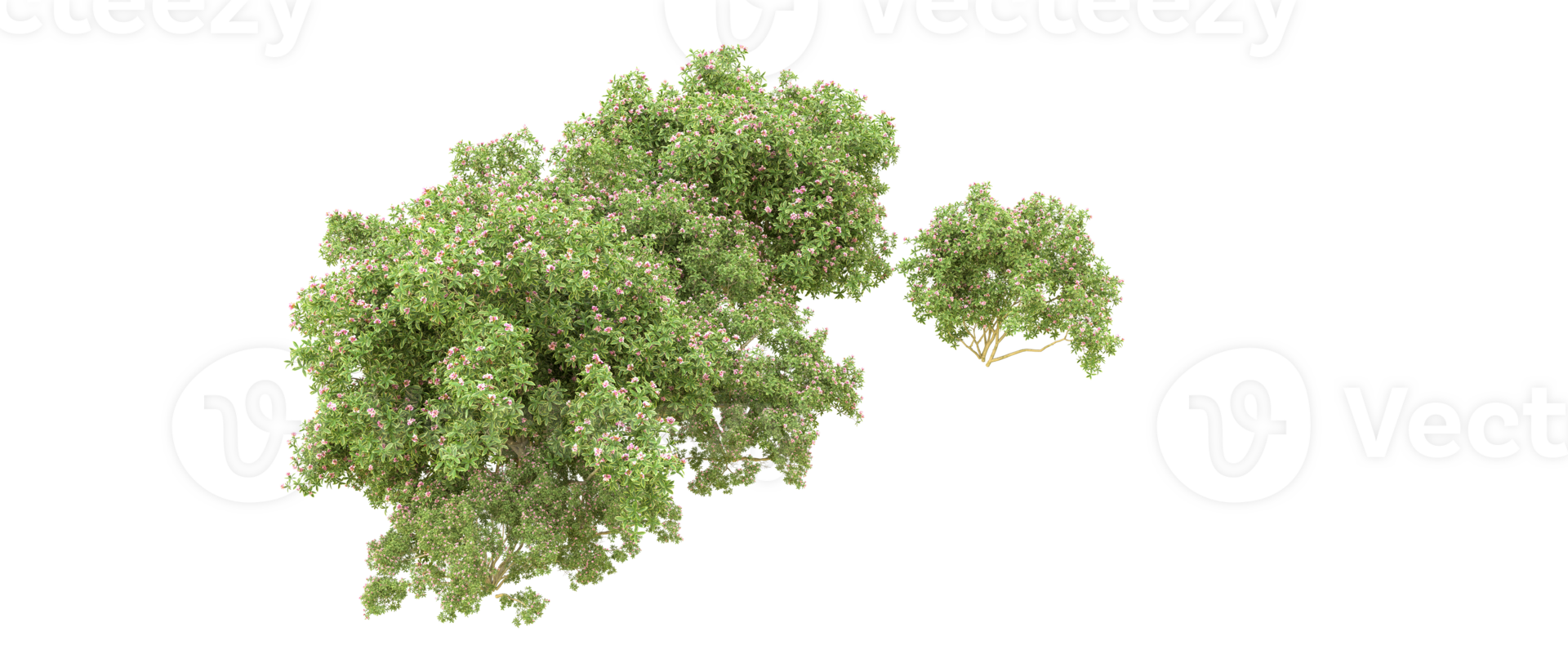 Green forest isolated on background. 3d rendering - illustration png