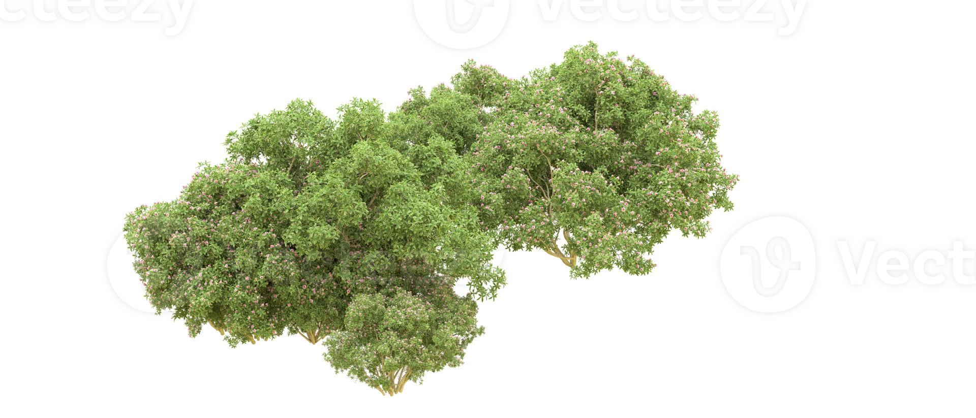 Green forest isolated on background. 3d rendering - illustration png