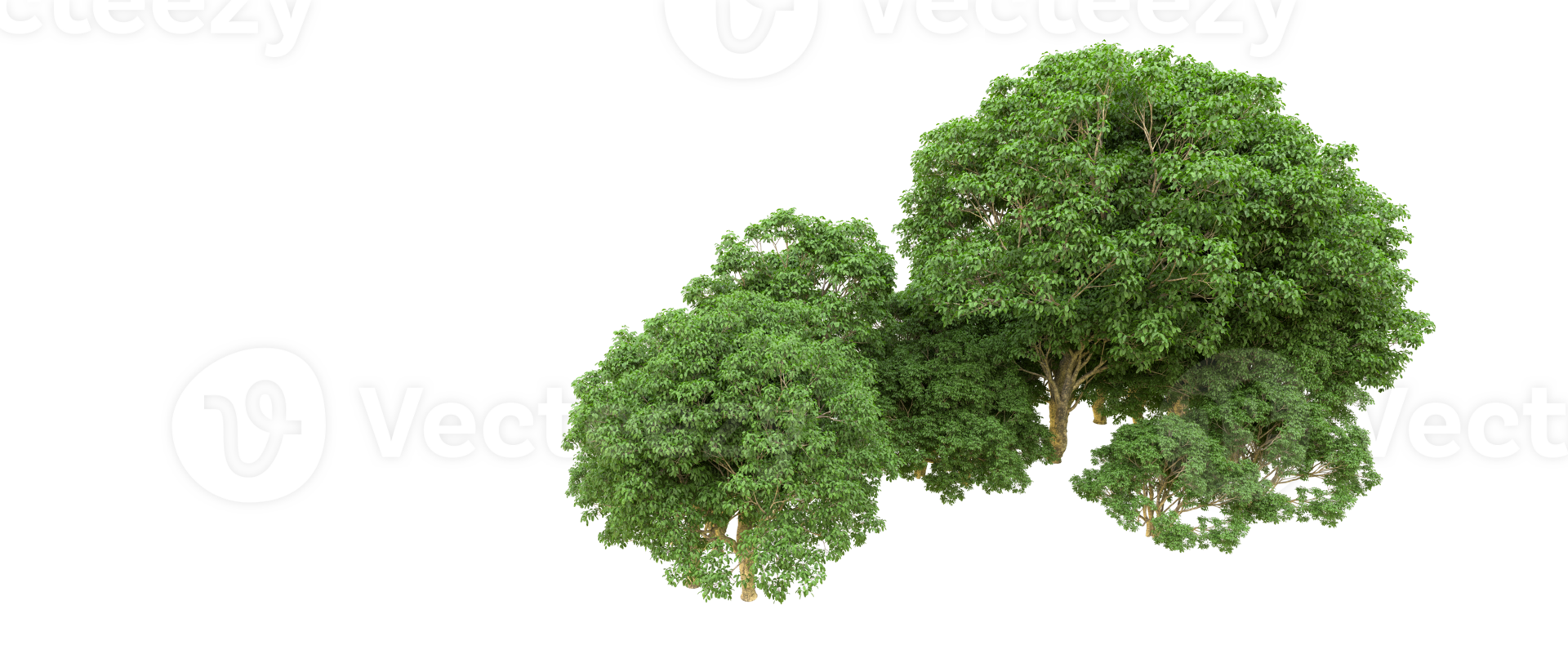 Green forest isolated on background. 3d rendering - illustration png