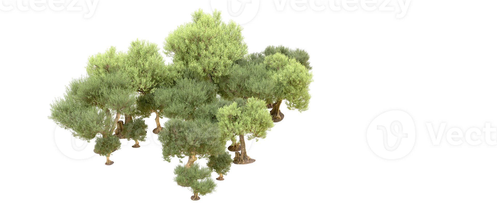 Green forest isolated on background. 3d rendering - illustration png