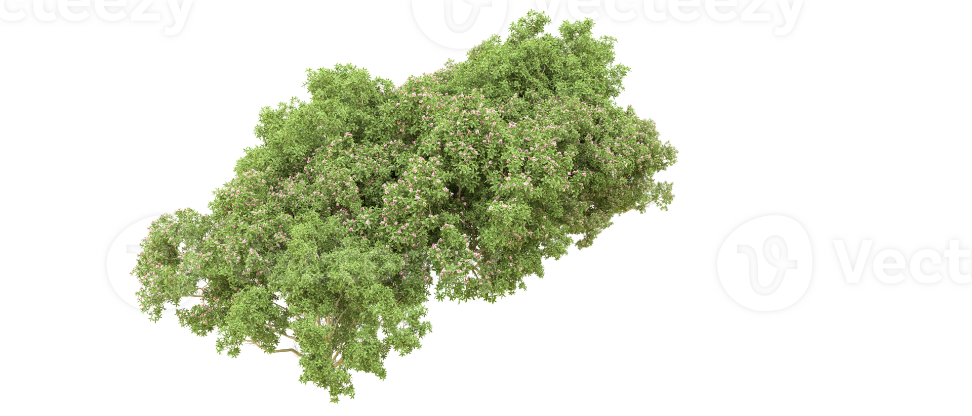 Green forest isolated on background. 3d rendering - illustration png