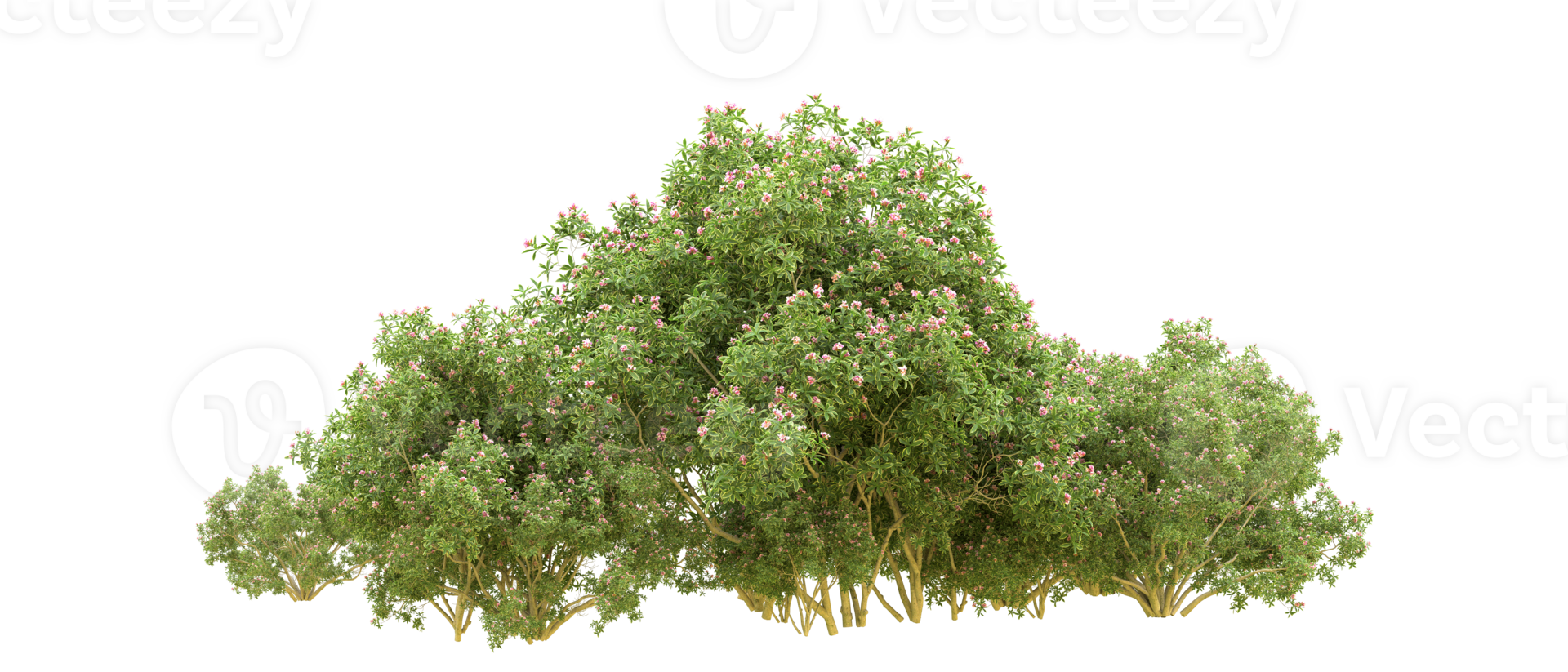 Green forest isolated on background. 3d rendering - illustration png