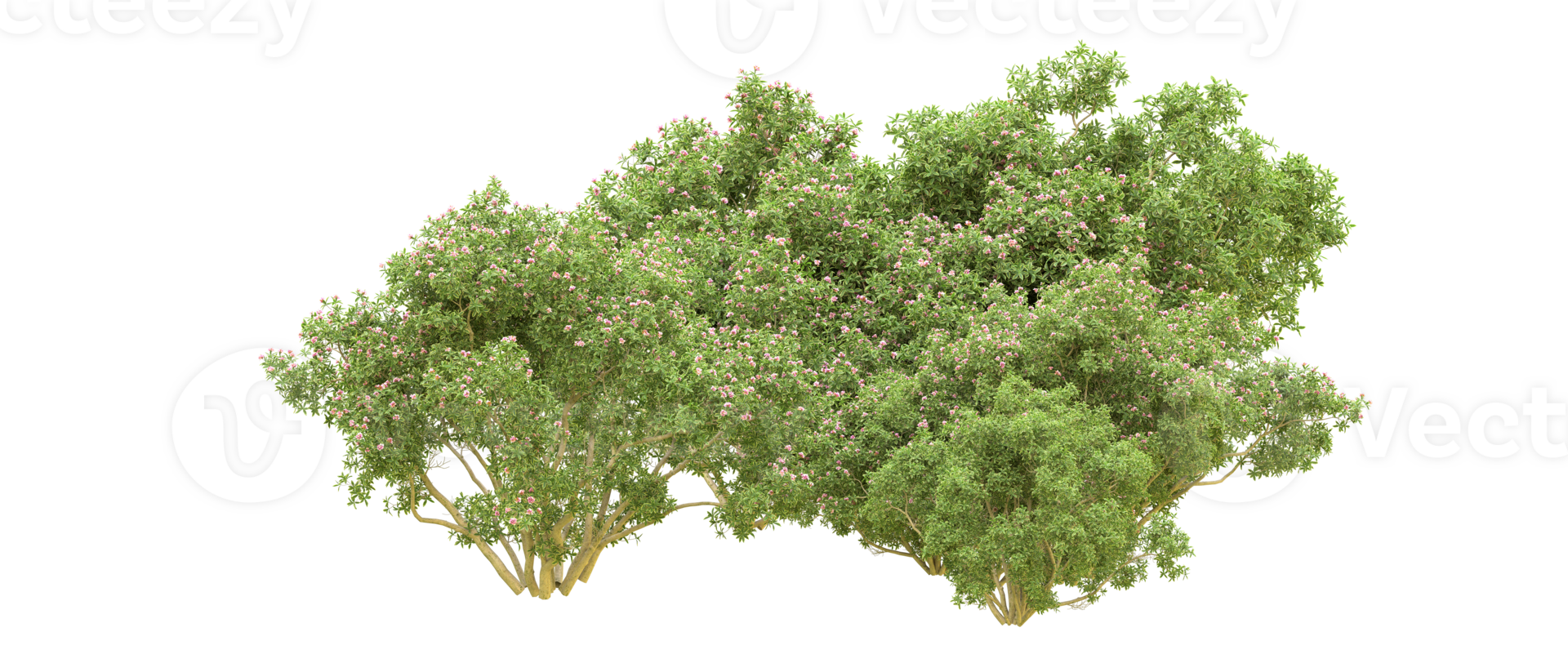 Green forest isolated on background. 3d rendering - illustration png