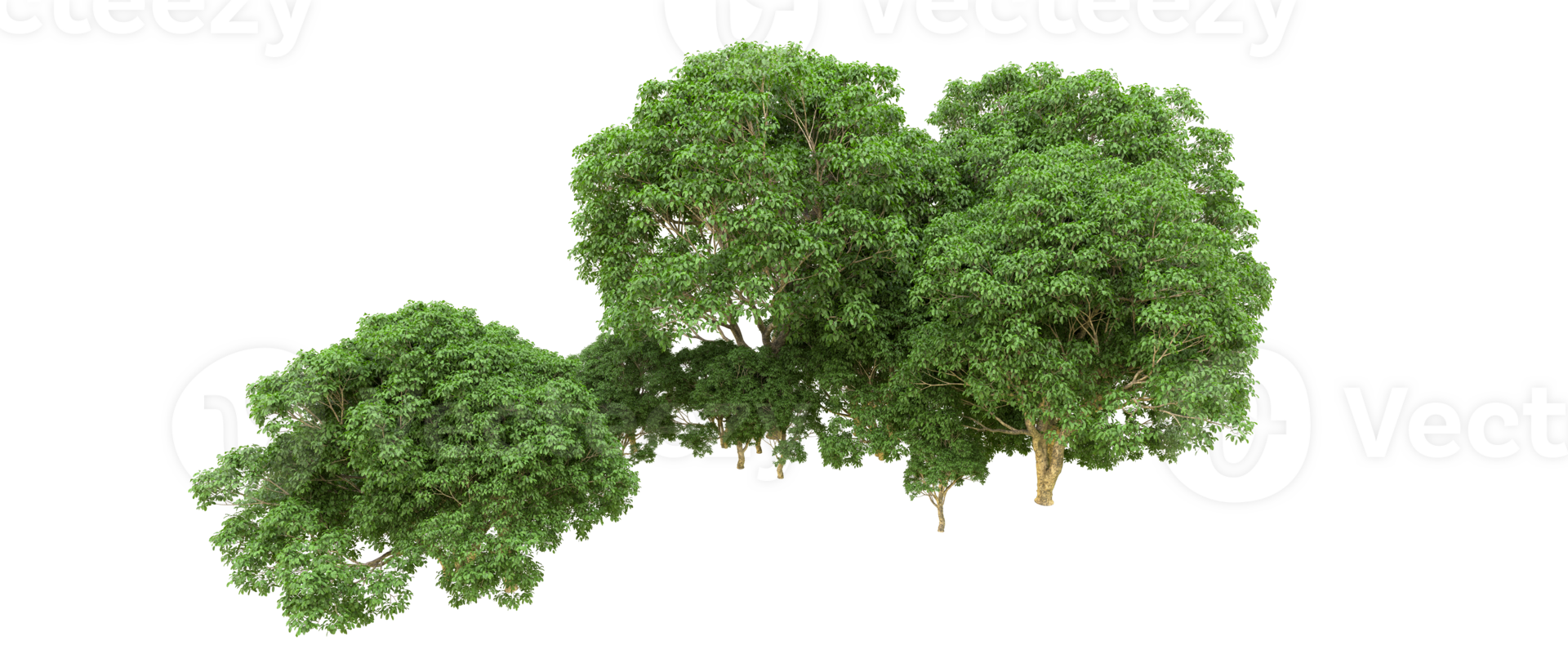 Green forest isolated on background. 3d rendering - illustration png