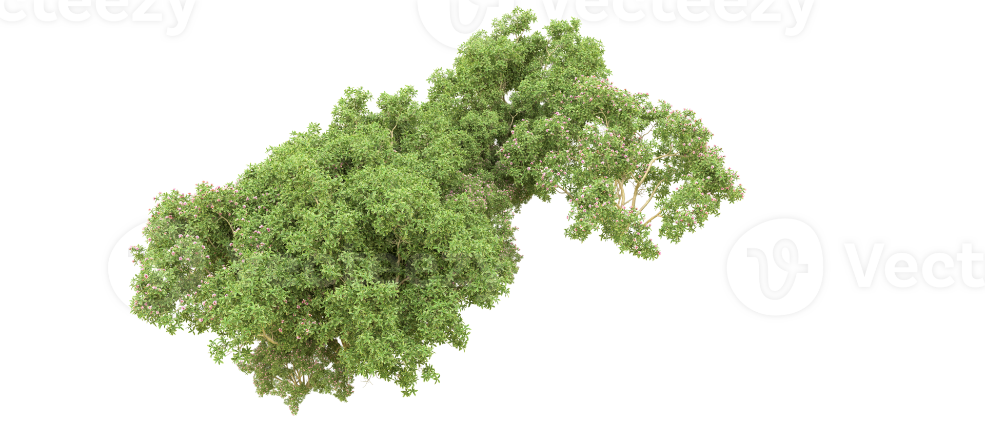 Green forest isolated on background. 3d rendering - illustration png