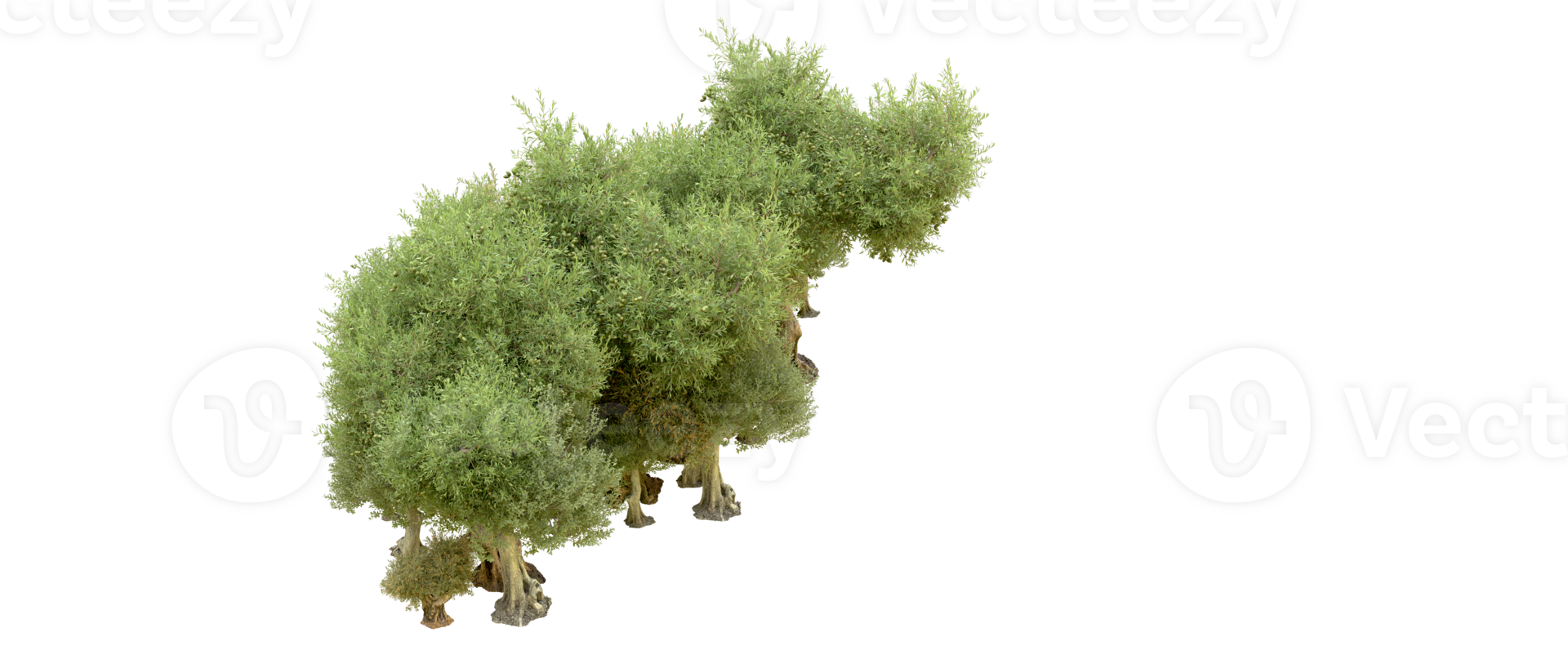 Green forest isolated on background. 3d rendering - illustration png