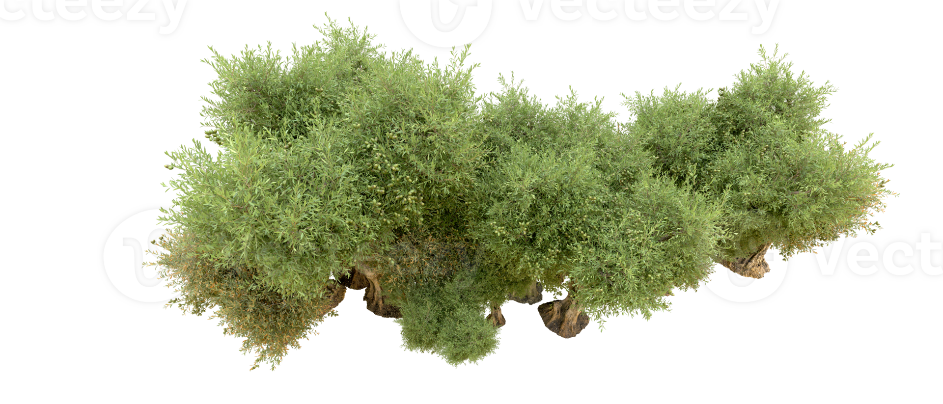 Green forest isolated on background. 3d rendering - illustration png