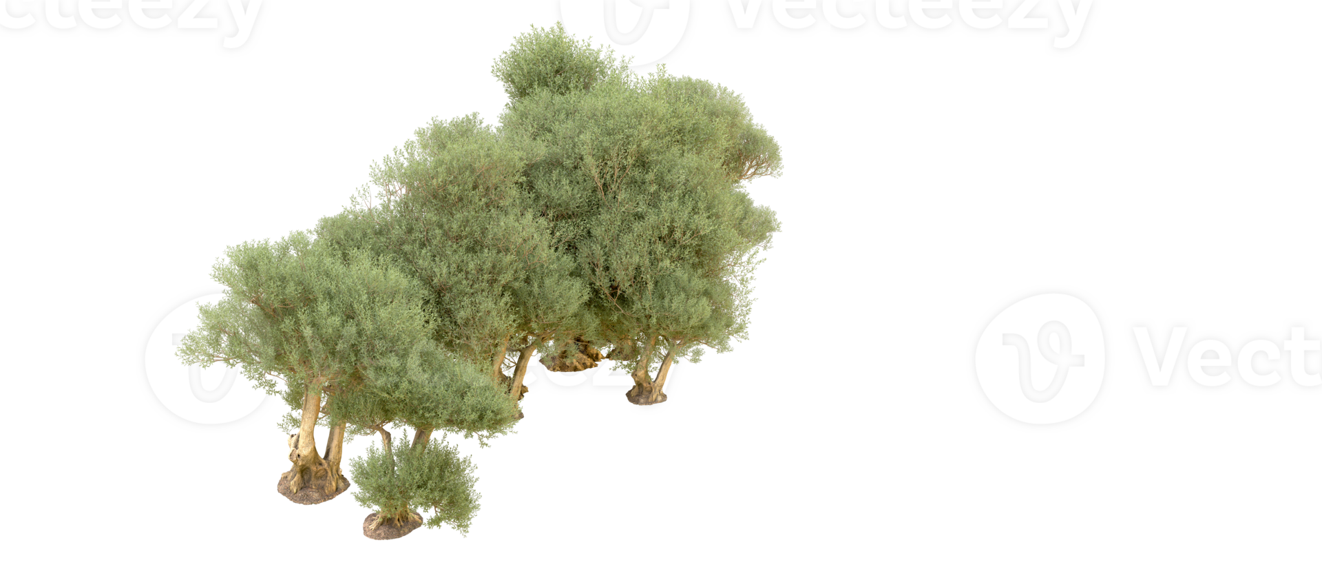 Green forest isolated on background. 3d rendering - illustration png