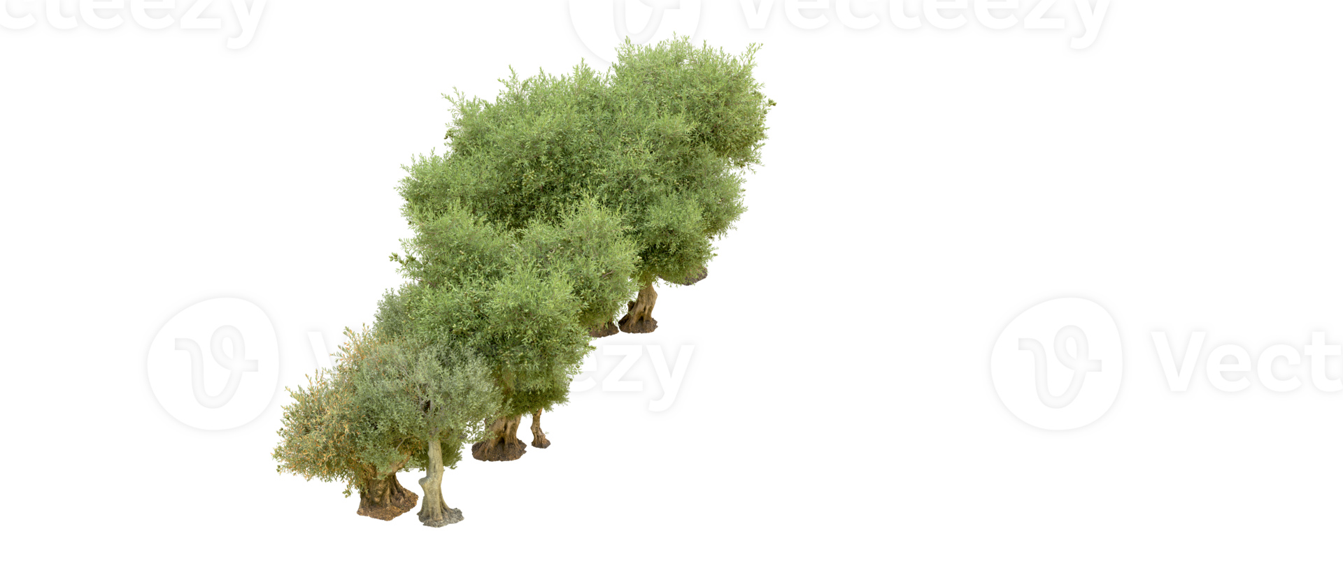 Green forest isolated on background. 3d rendering - illustration png