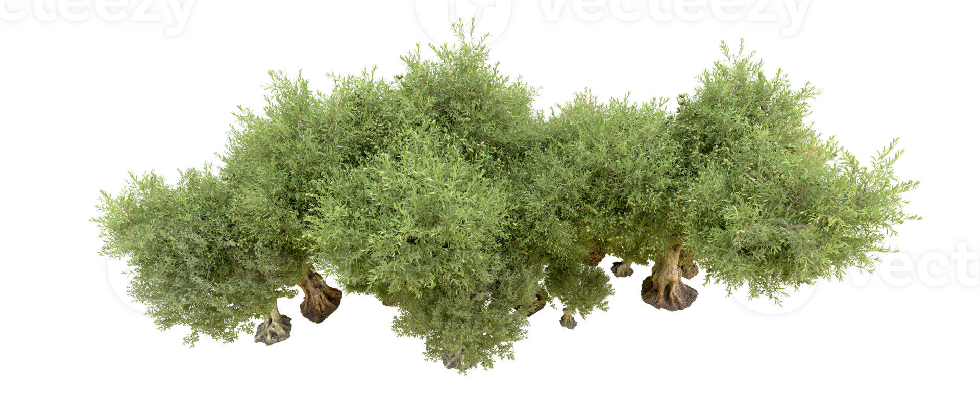 Green forest isolated on background. 3d rendering - illustration png