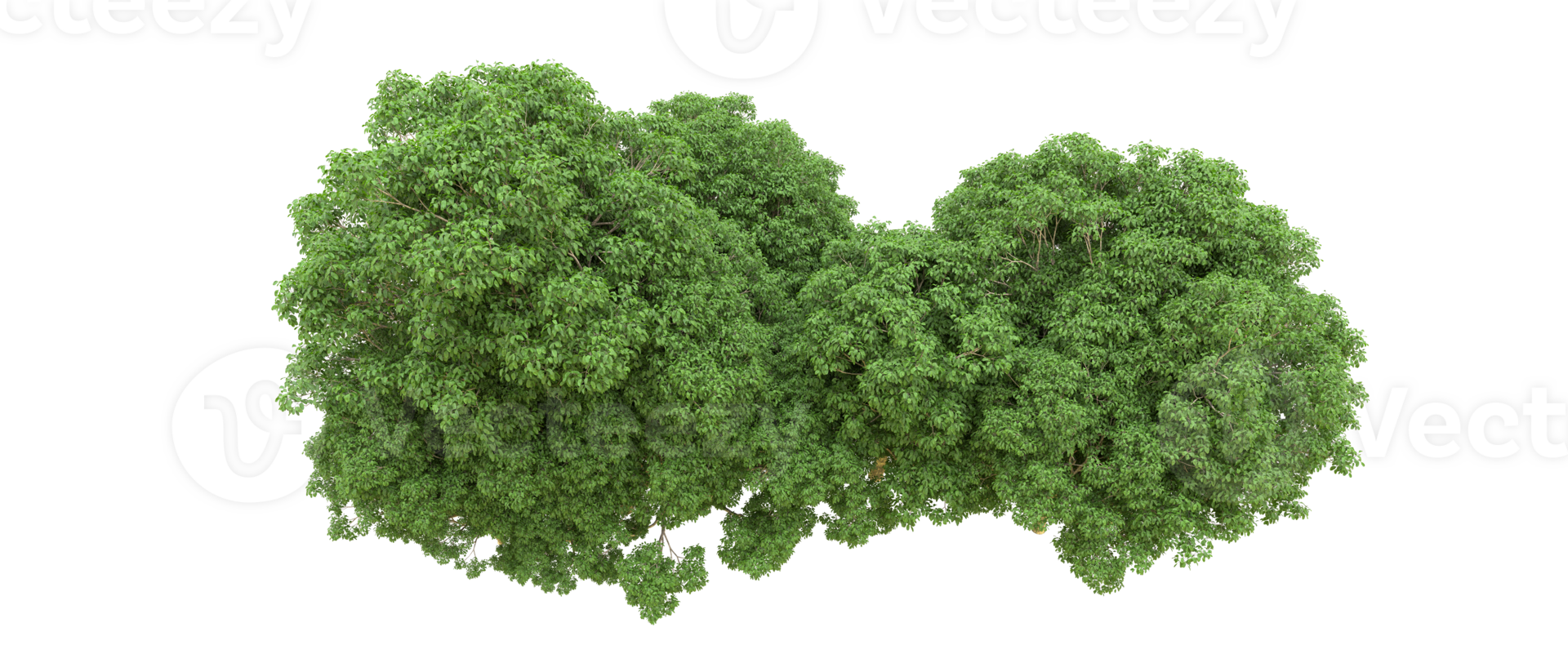 Green forest isolated on background. 3d rendering - illustration png