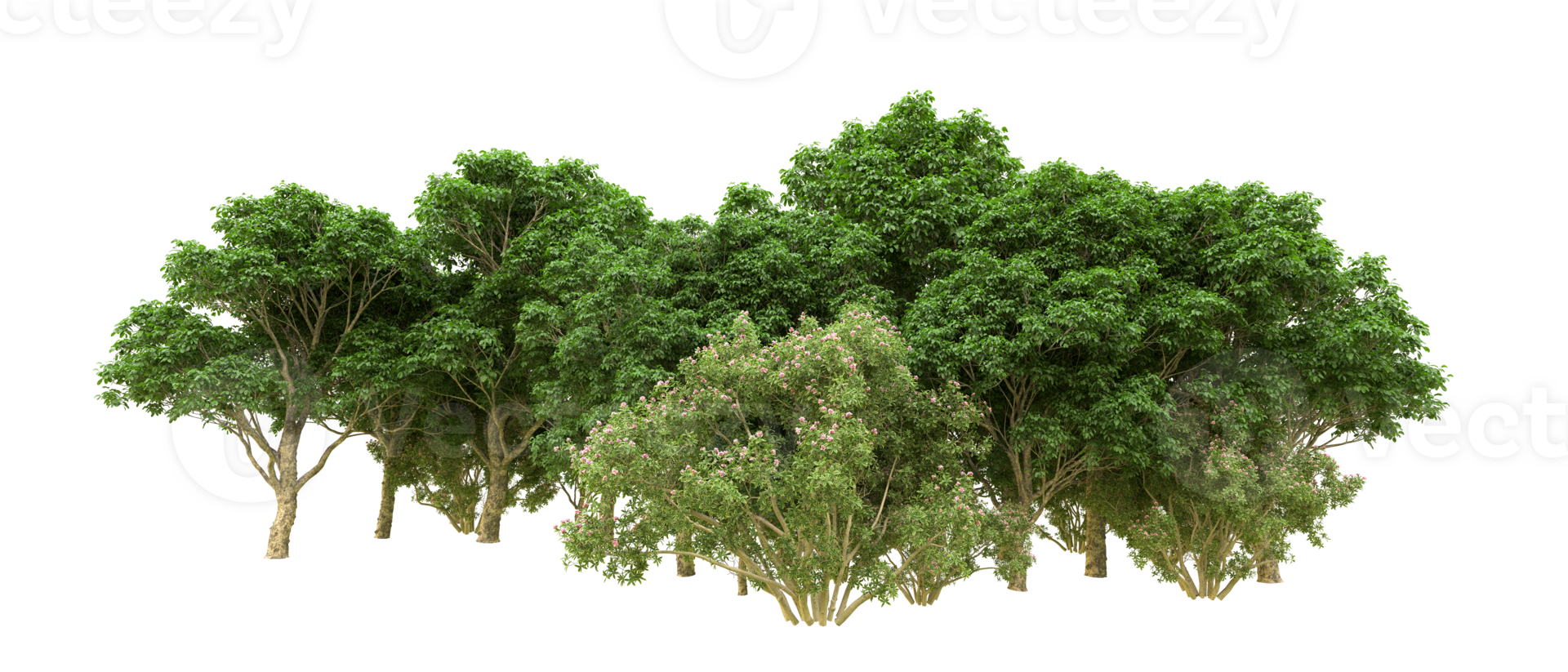 Green forest isolated on background. 3d rendering - illustration png