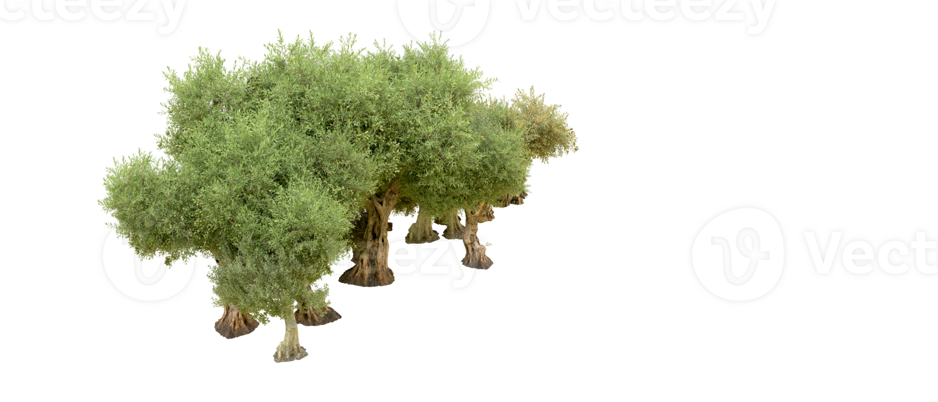 Green forest isolated on background. 3d rendering - illustration png