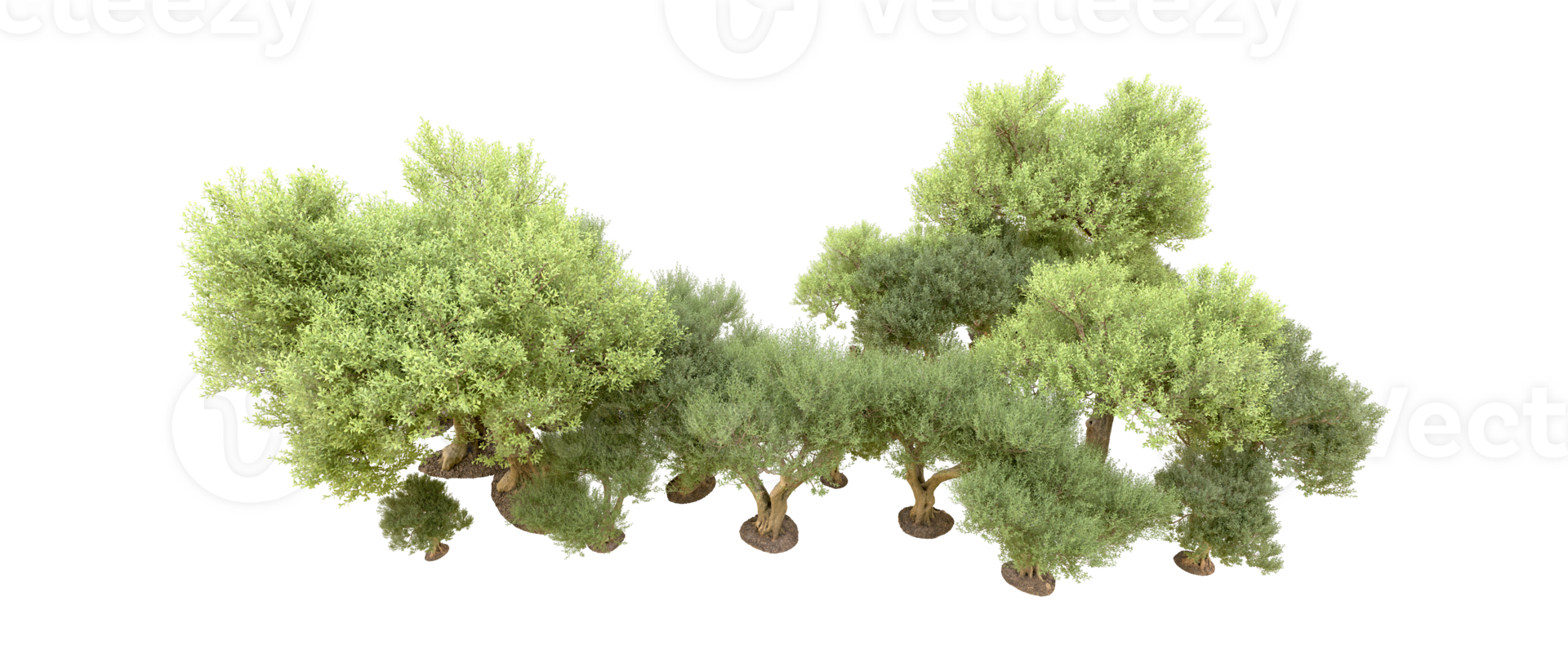 Green forest isolated on background. 3d rendering - illustration png