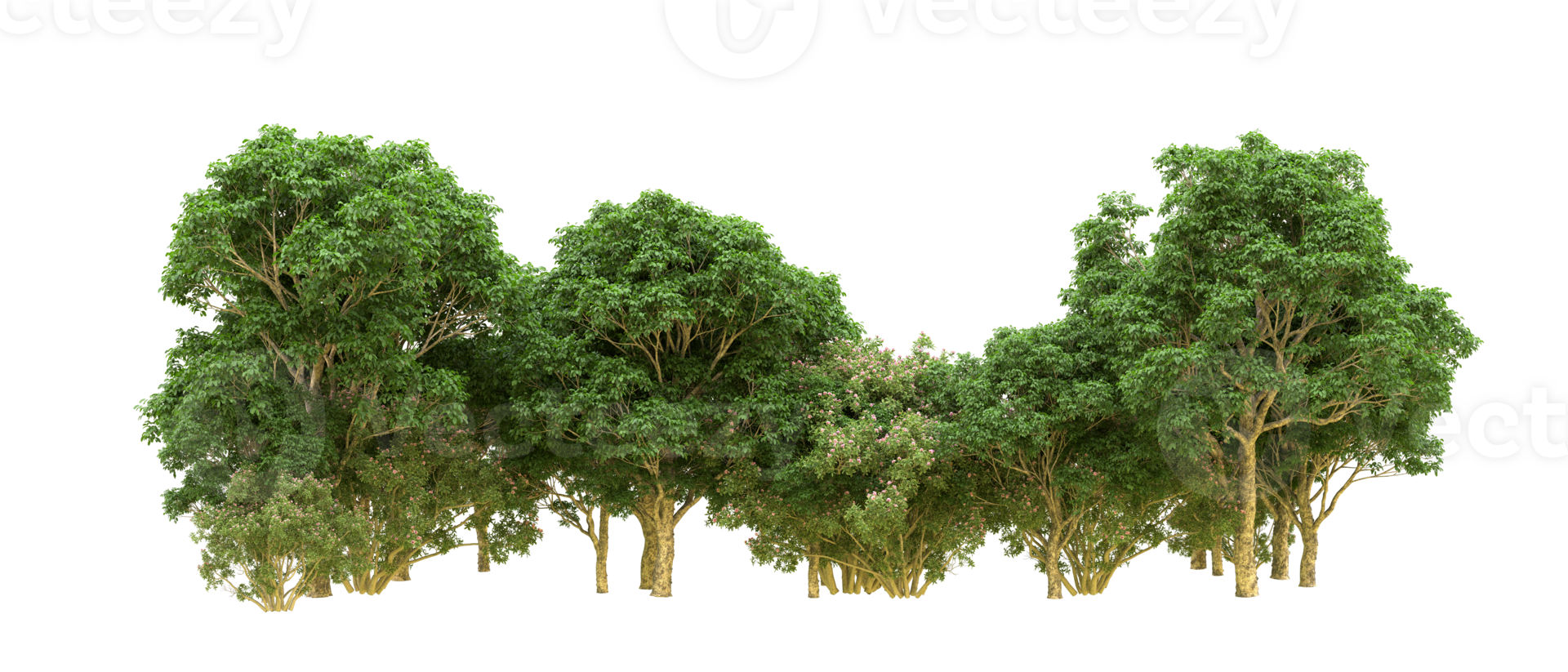 Green forest isolated on background. 3d rendering - illustration png