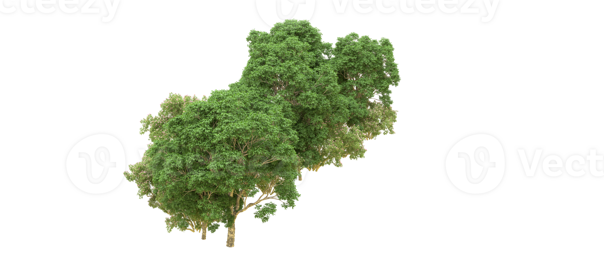Green forest isolated on background. 3d rendering - illustration png