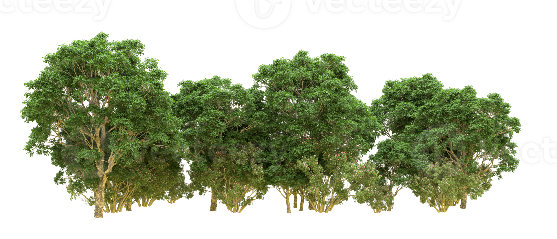 Green forest isolated on background. 3d rendering - illustration png