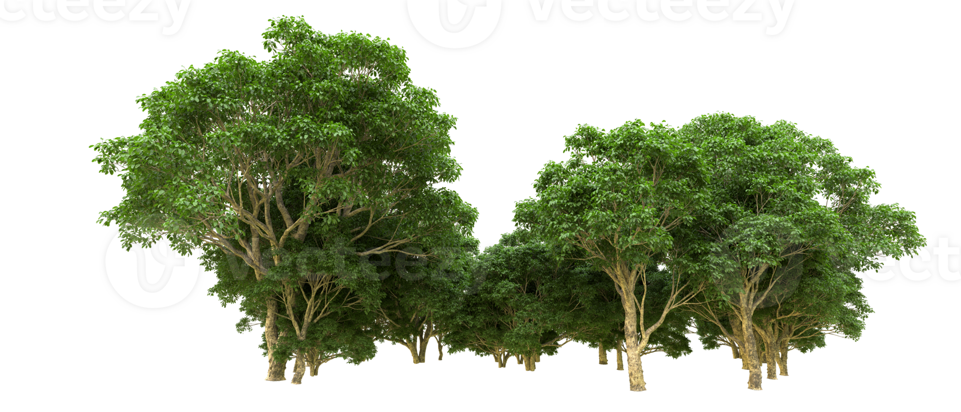 Green forest isolated on background. 3d rendering - illustration png