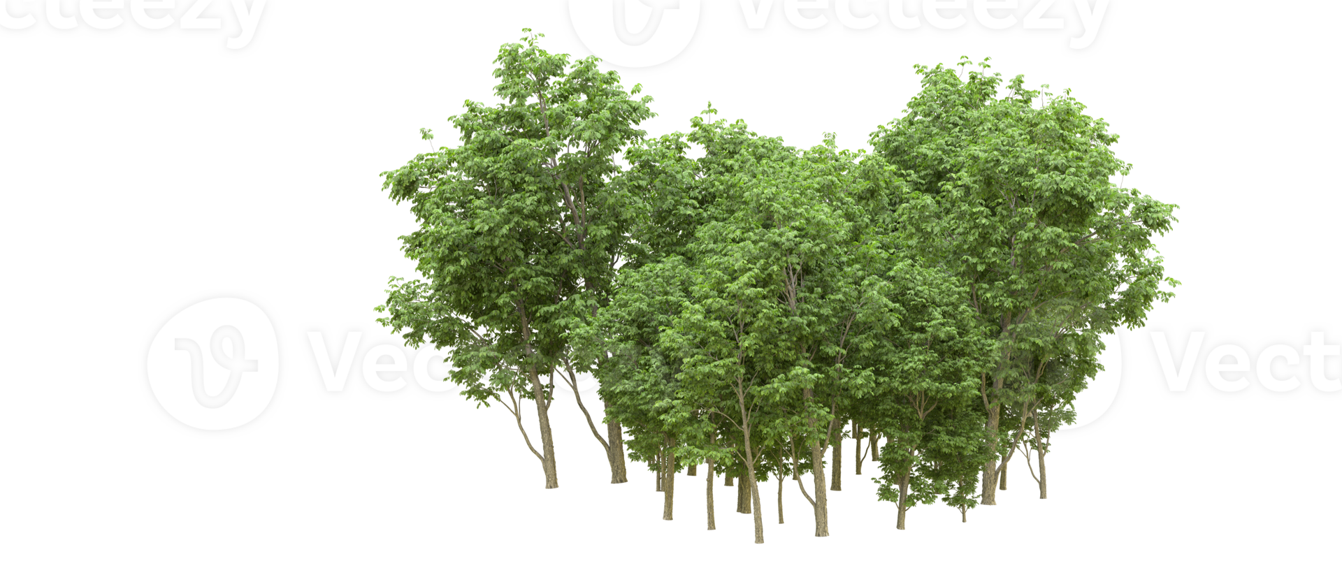 verde floresta isolado em fundo. 3d Renderização - ilustração png