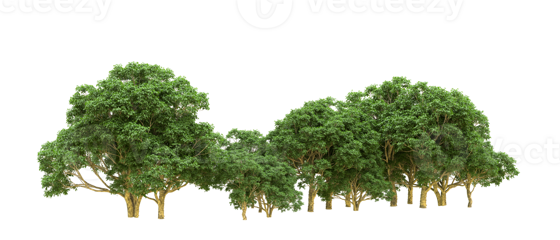 Green forest isolated on background. 3d rendering - illustration png