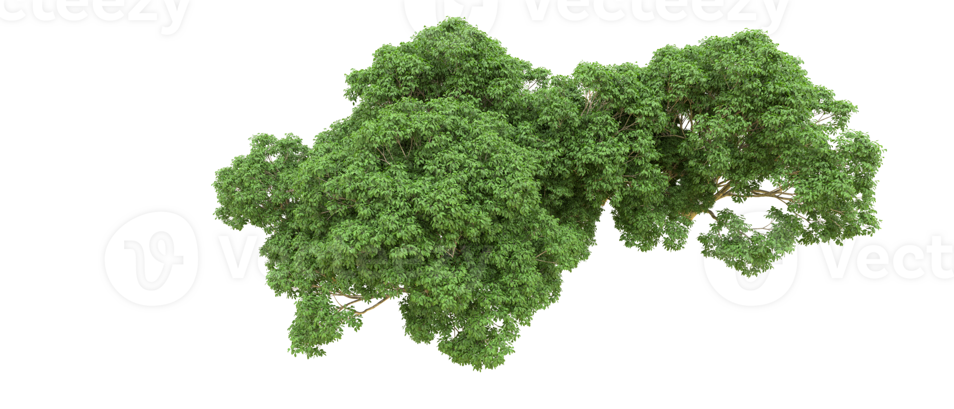 Green forest isolated on background. 3d rendering - illustration png