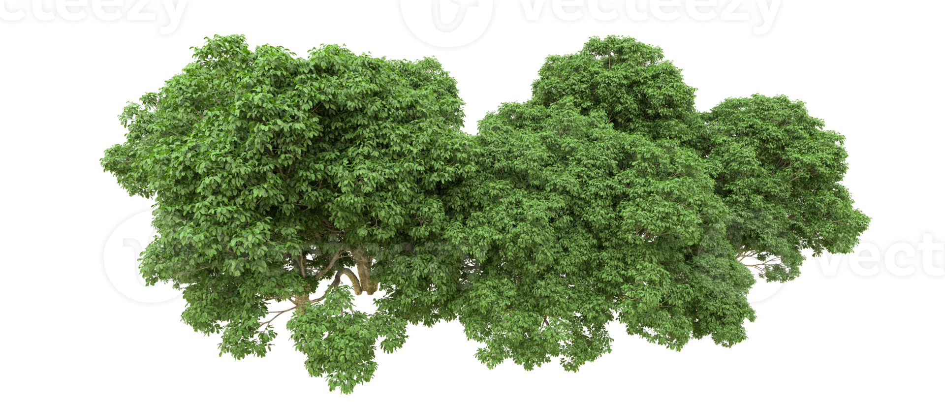 Green forest isolated on background. 3d rendering - illustration png