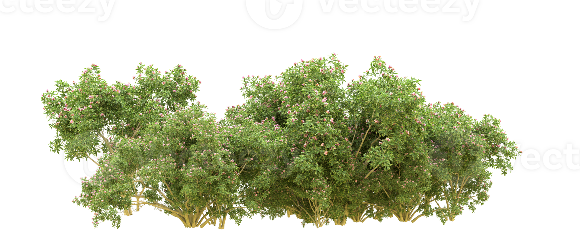 Green forest isolated on background. 3d rendering - illustration png
