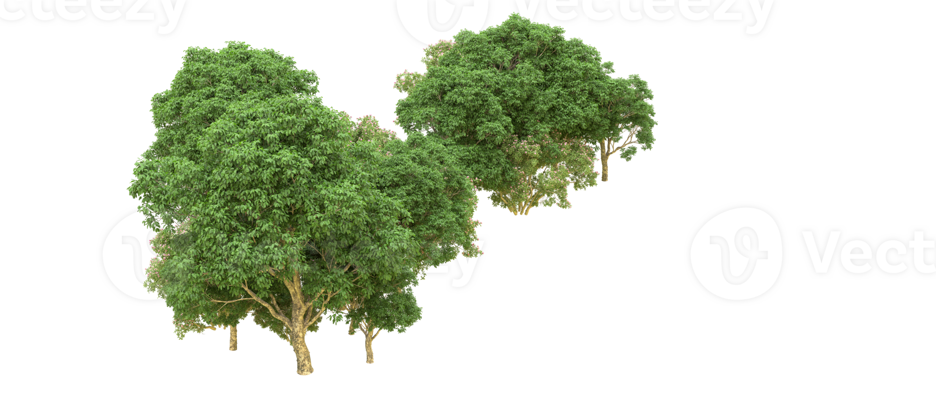 Green forest isolated on background. 3d rendering - illustration png
