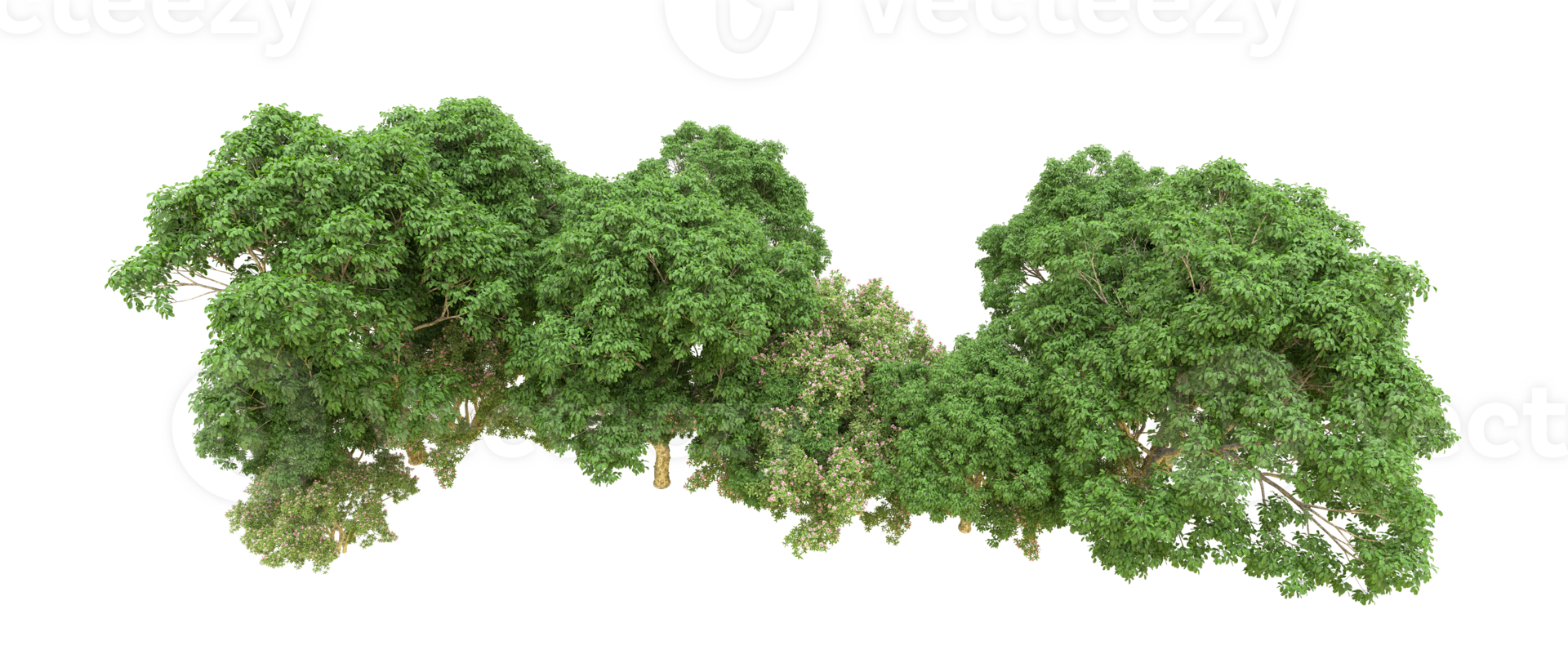 Green forest isolated on background. 3d rendering - illustration png