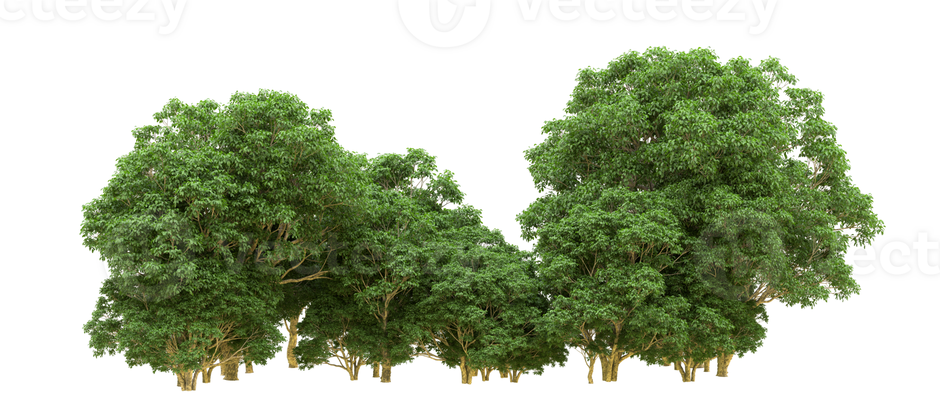 Green forest isolated on background. 3d rendering - illustration png