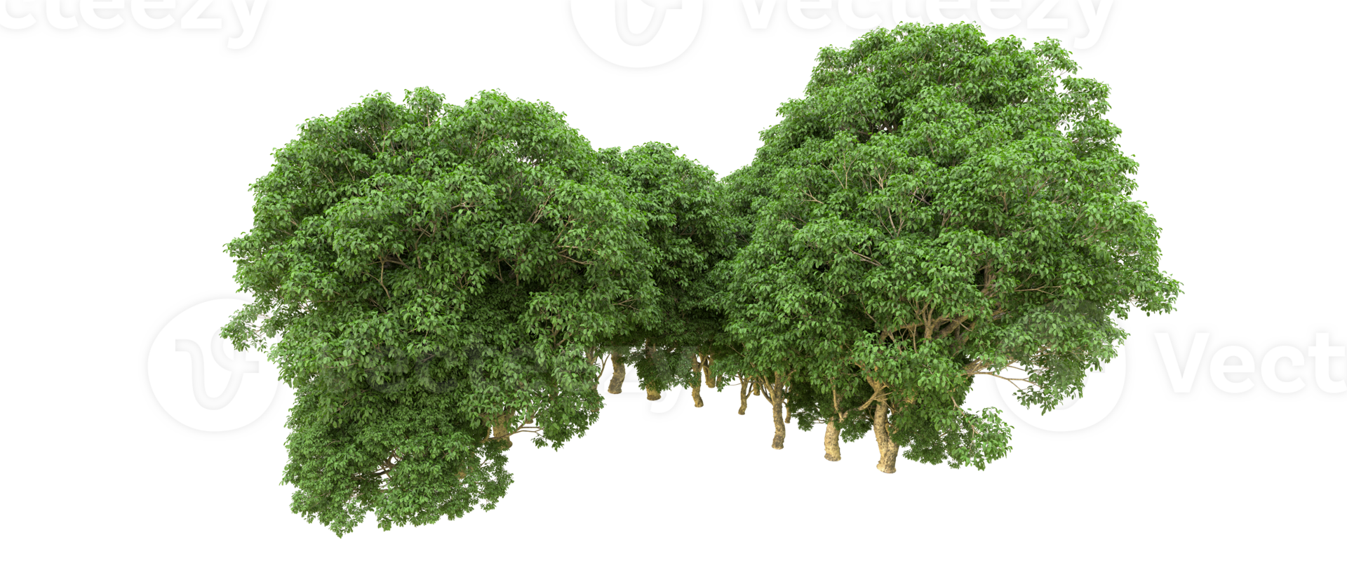 Green forest isolated on background. 3d rendering - illustration png