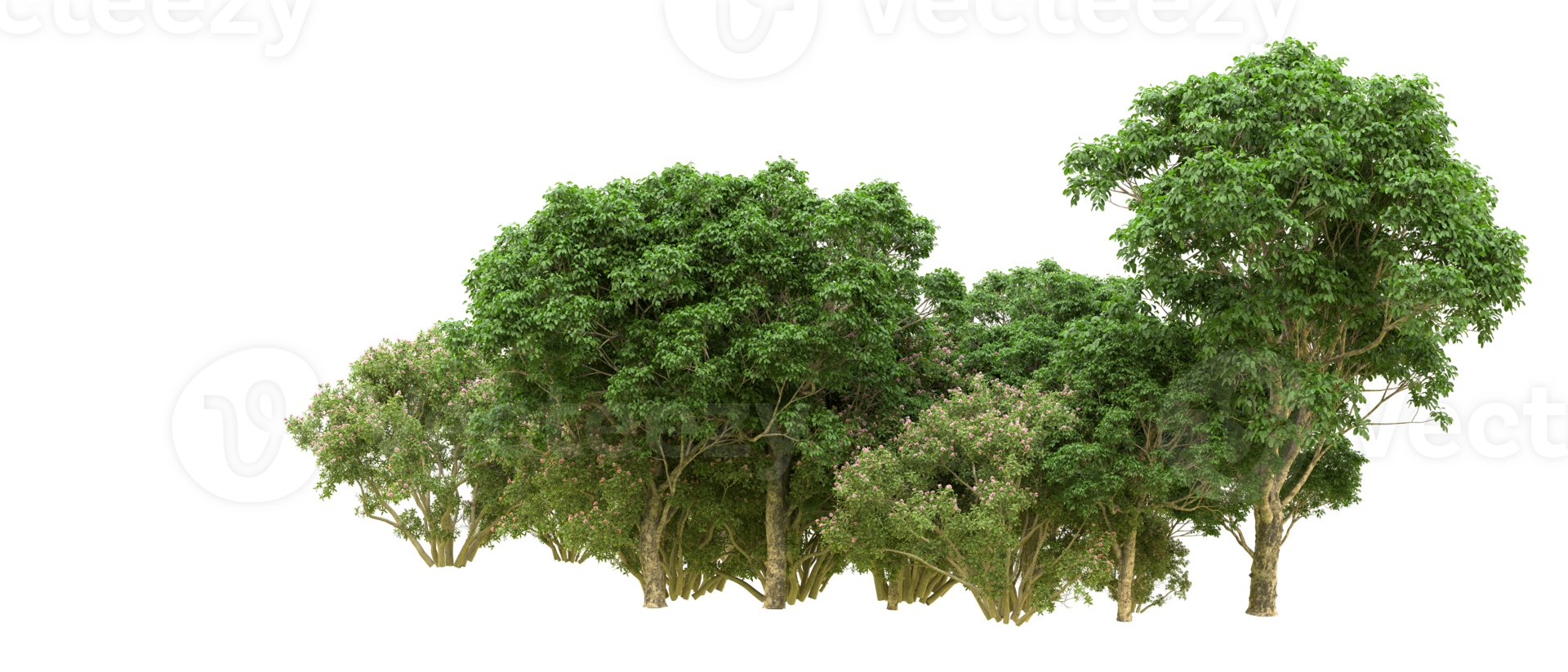 Green forest isolated on background. 3d rendering - illustration png