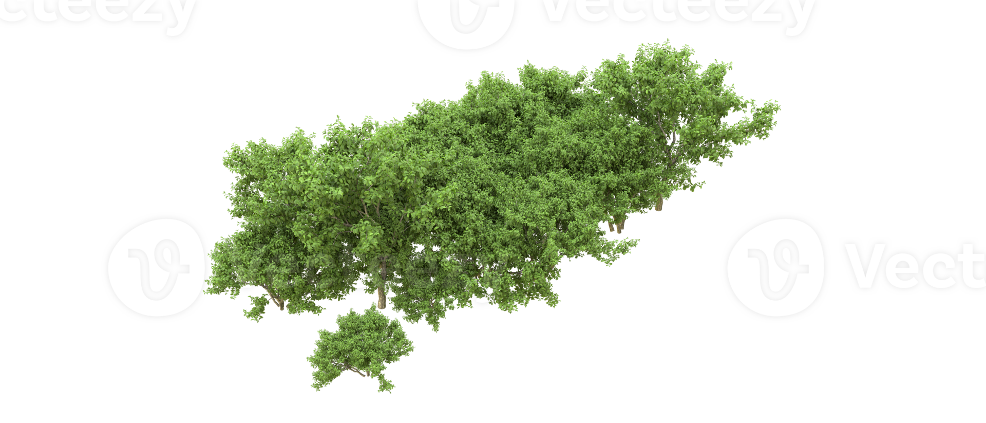 Green forest isolated on background. 3d rendering - illustration png