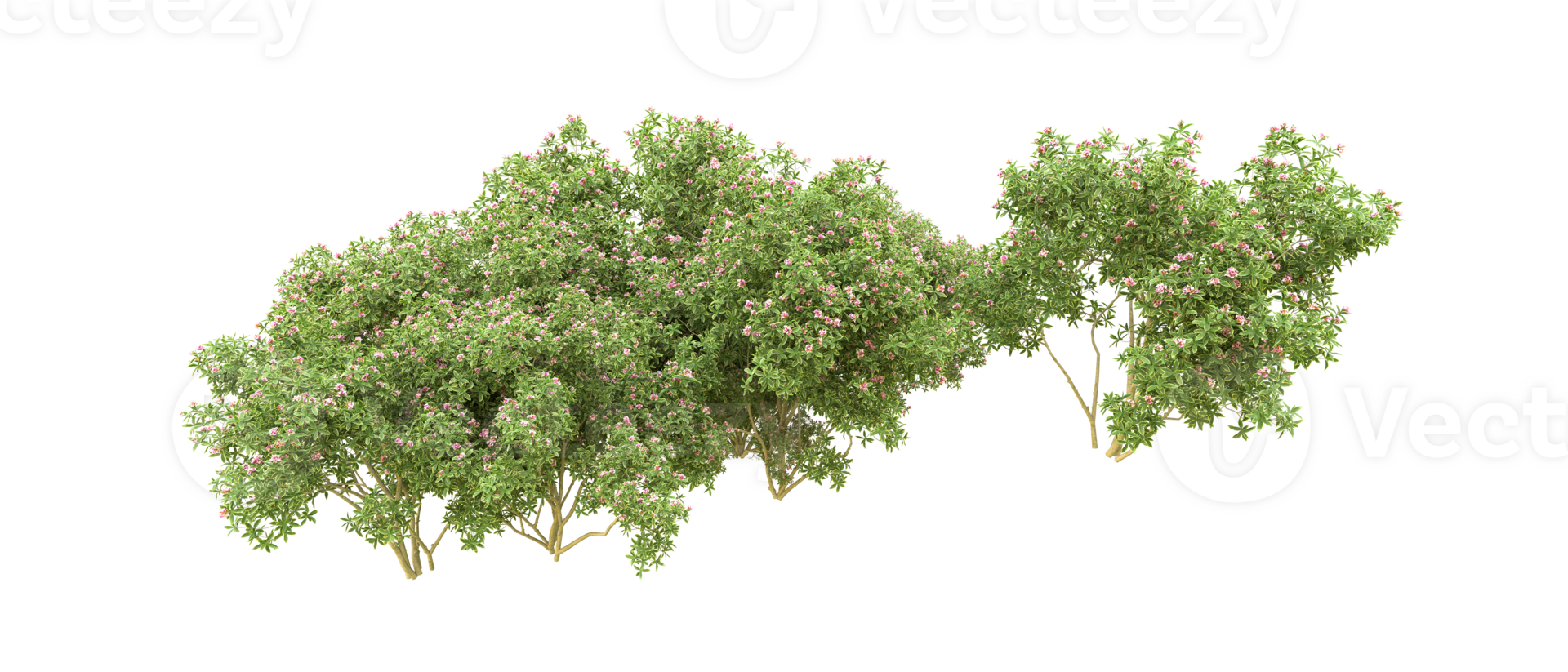 Green forest isolated on background. 3d rendering - illustration png