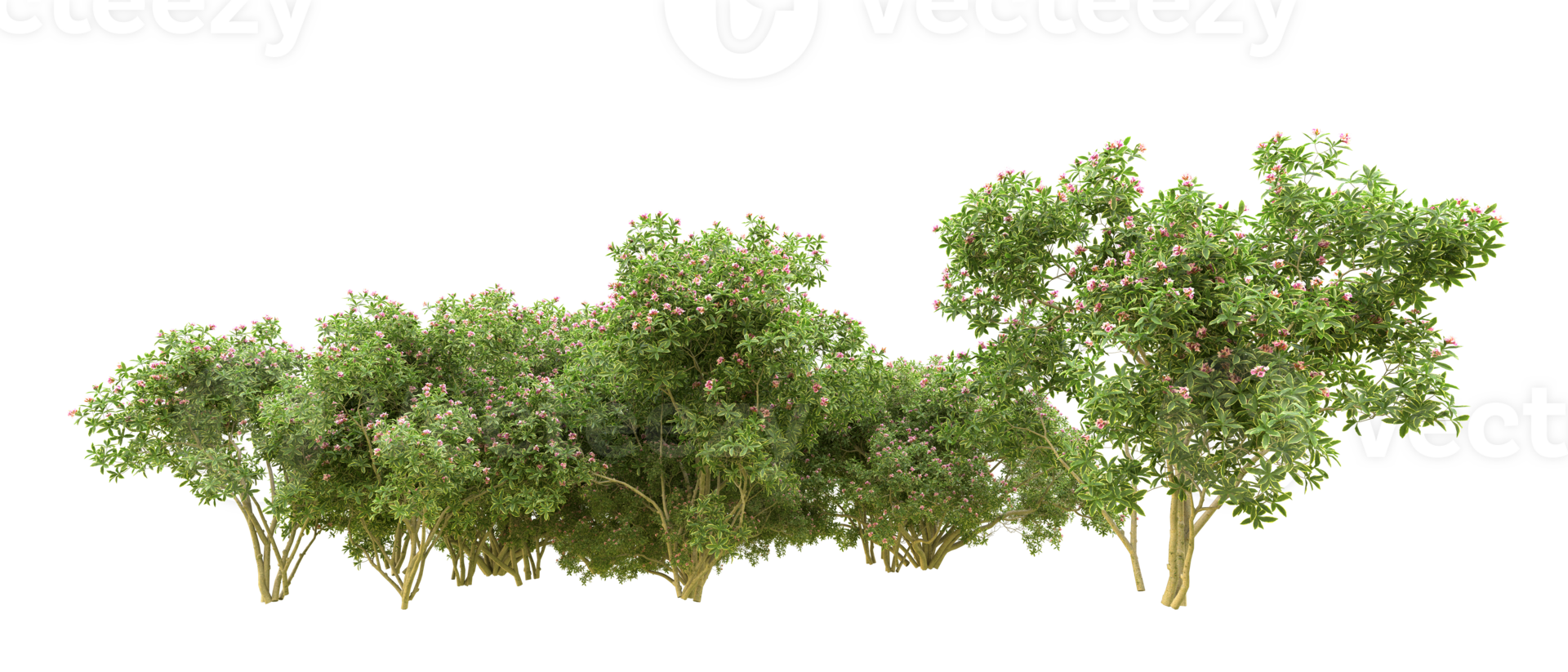 Green forest isolated on background. 3d rendering - illustration png