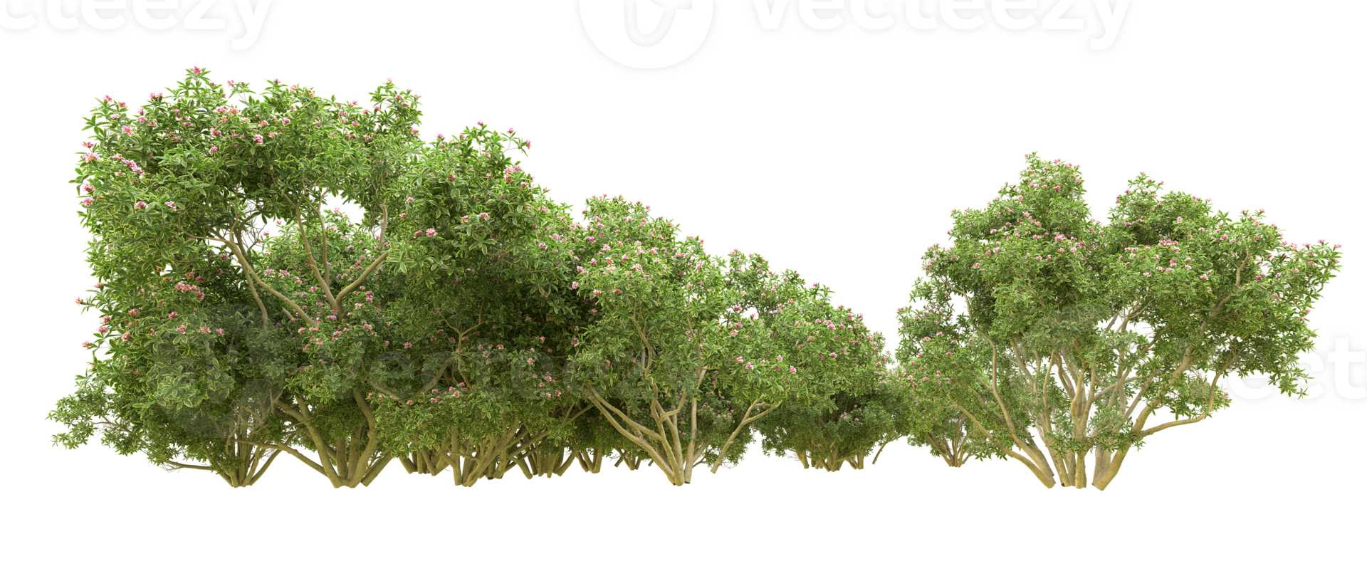 Green forest isolated on background. 3d rendering - illustration png