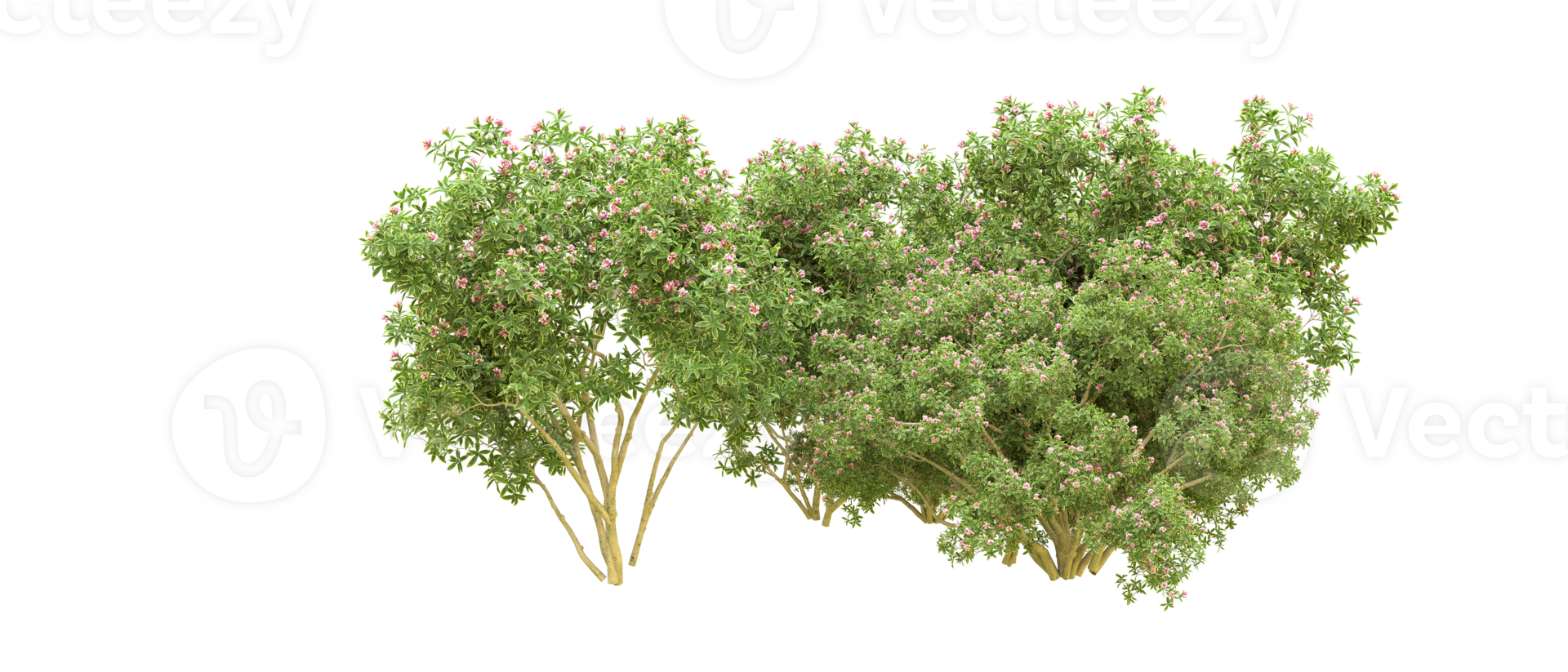 Green forest isolated on background. 3d rendering - illustration png