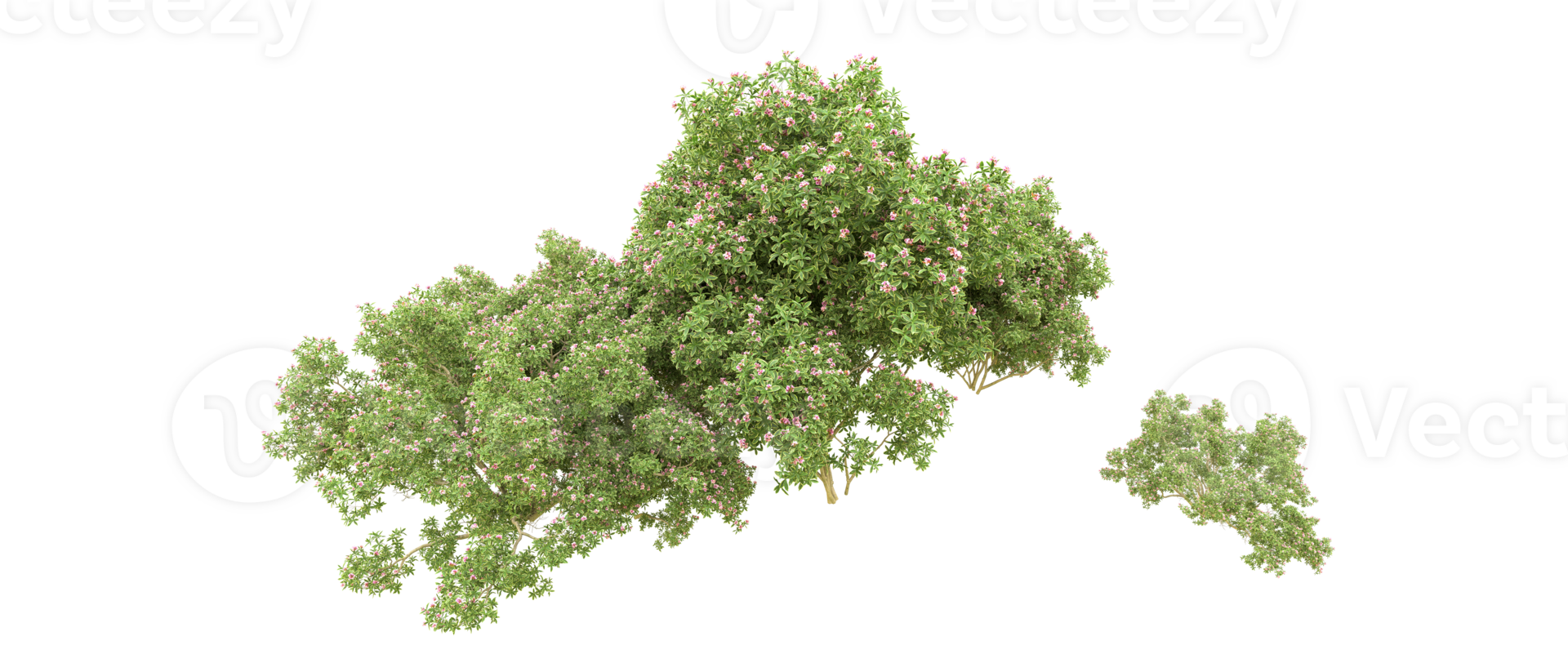 Green forest isolated on background. 3d rendering - illustration png