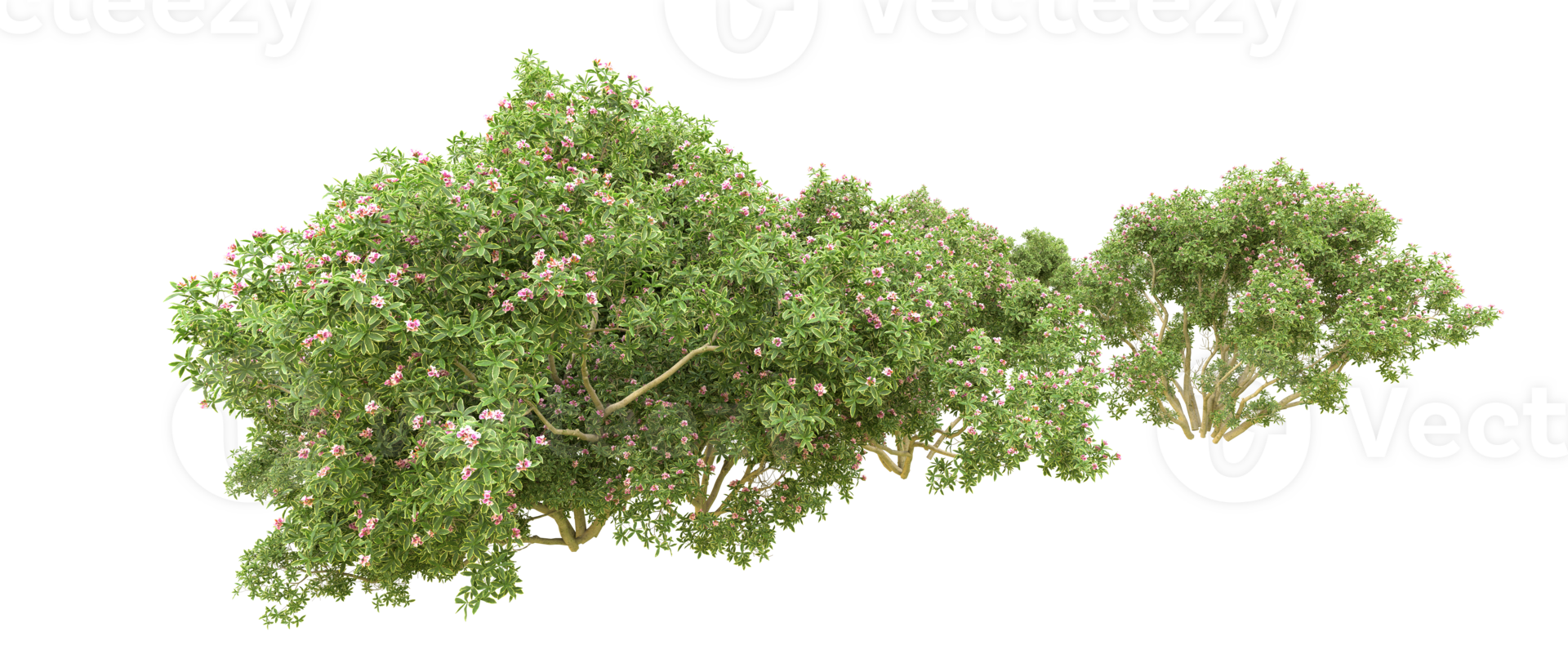Green forest isolated on background. 3d rendering - illustration png