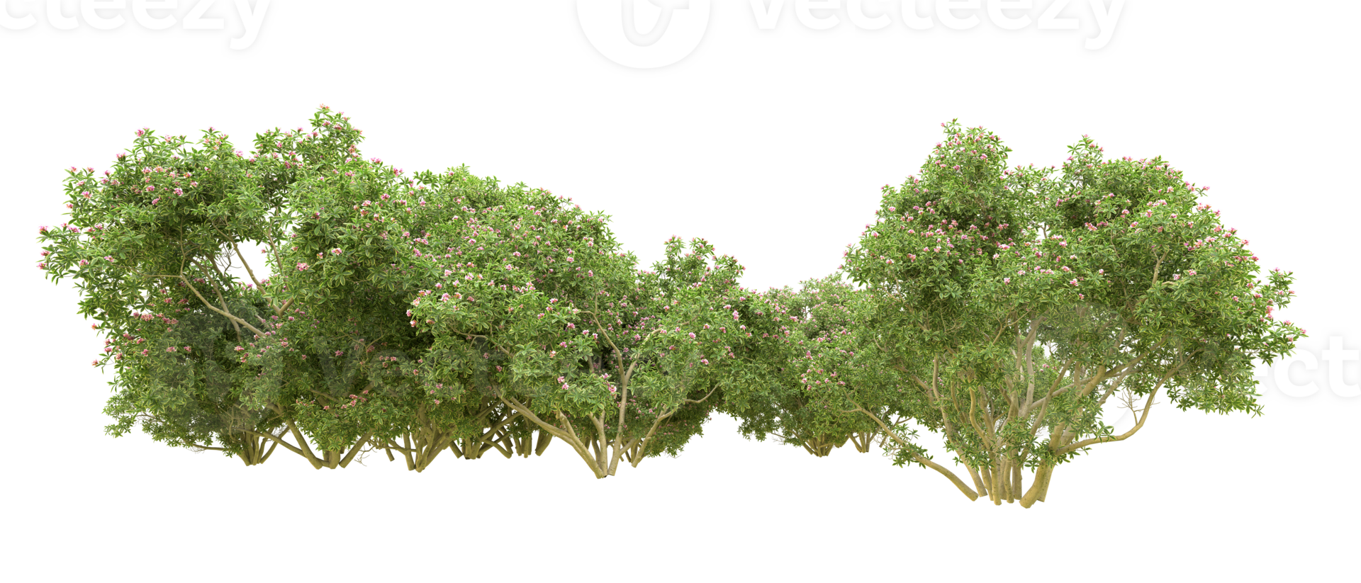 Green forest isolated on background. 3d rendering - illustration png