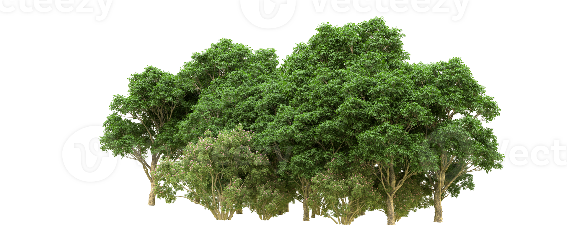 Green forest isolated on background. 3d rendering - illustration png