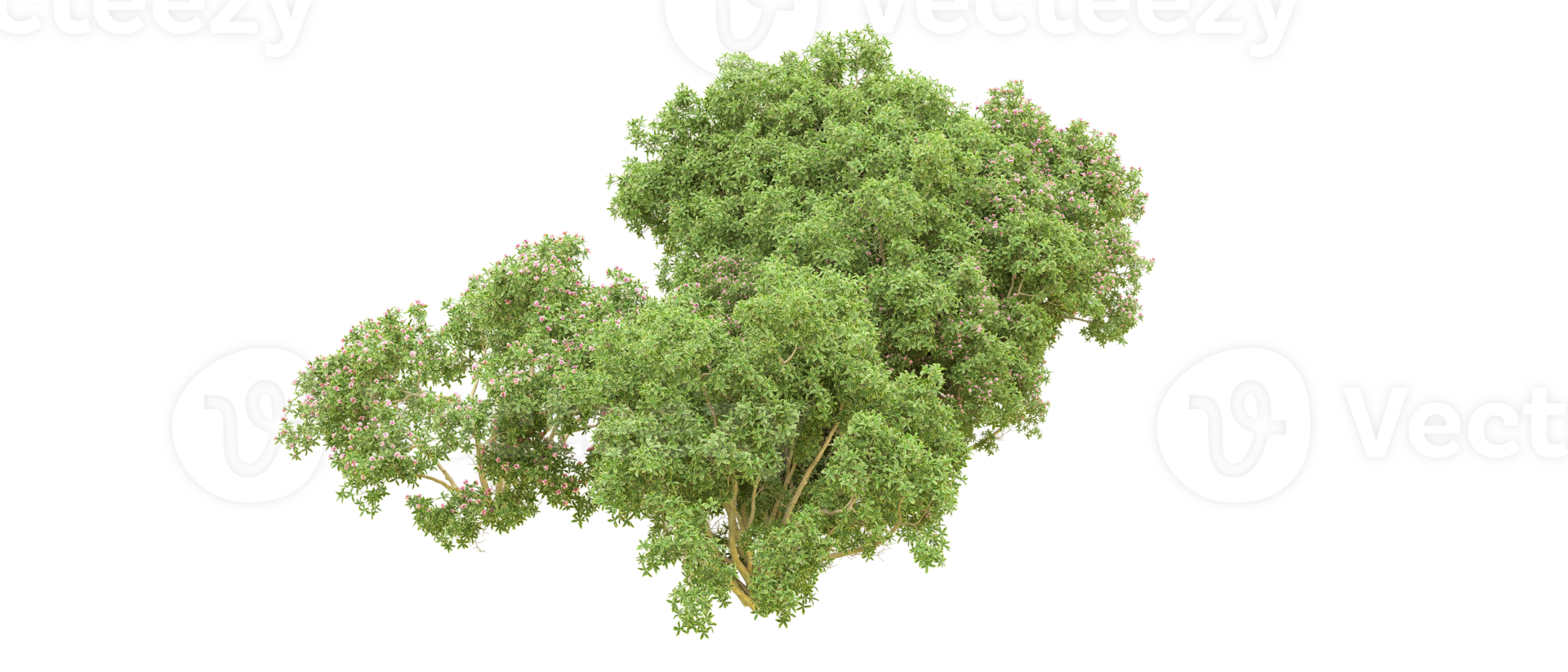 Green forest isolated on background. 3d rendering - illustration png