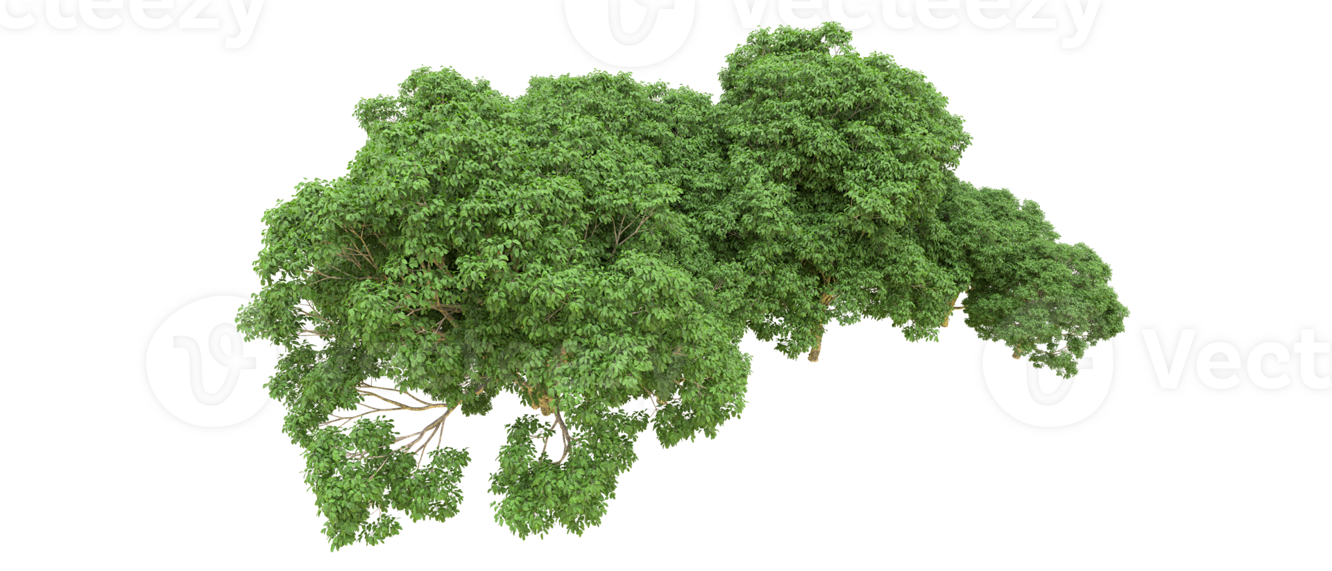 Green forest isolated on background. 3d rendering - illustration png