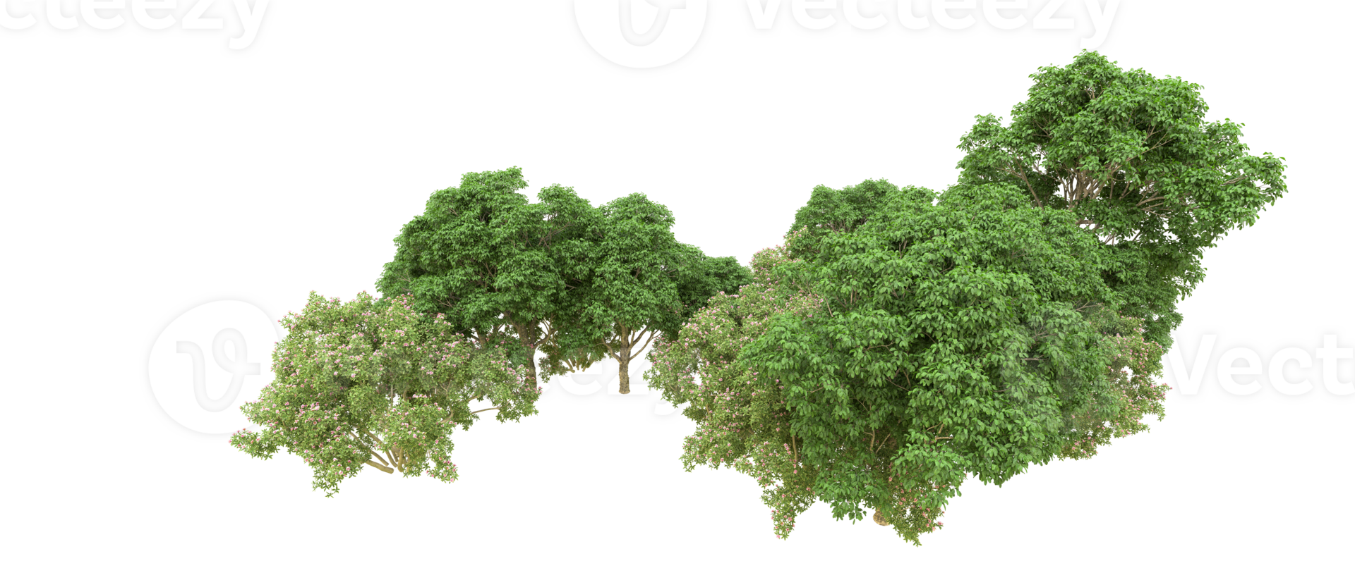 Green forest isolated on background. 3d rendering - illustration png