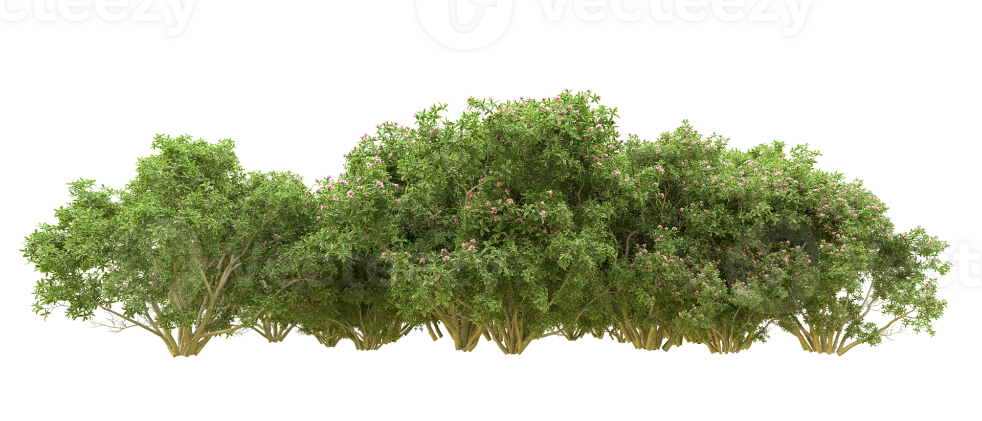 Green forest isolated on background. 3d rendering - illustration png