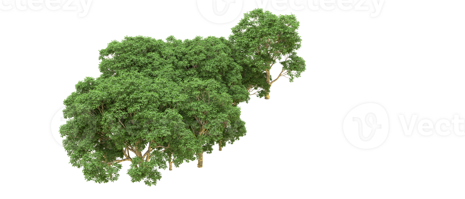 Green forest isolated on background. 3d rendering - illustration png
