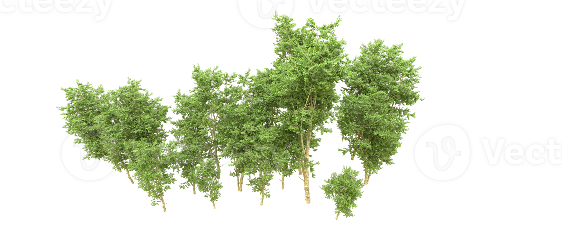 verde bosque aislado en antecedentes. 3d representación - ilustración png