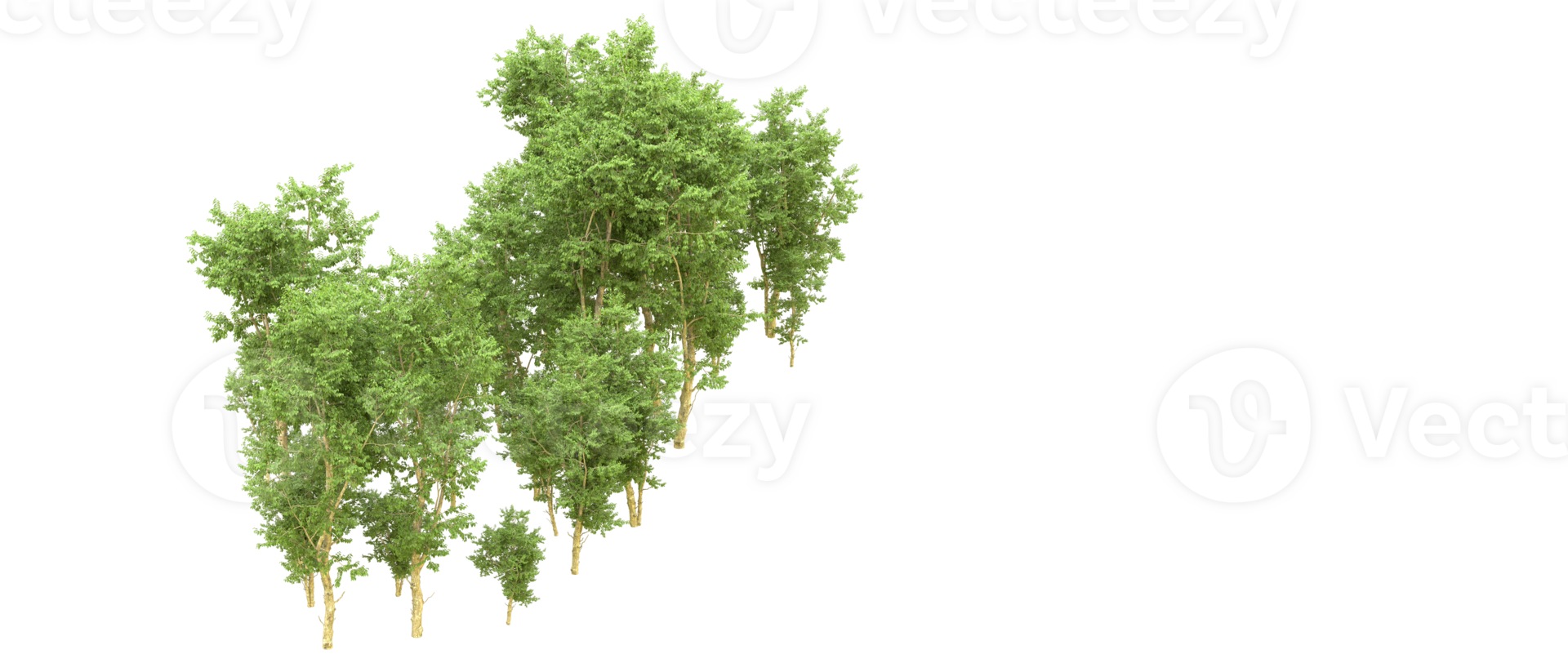 Green forest isolated on background. 3d rendering - illustration png